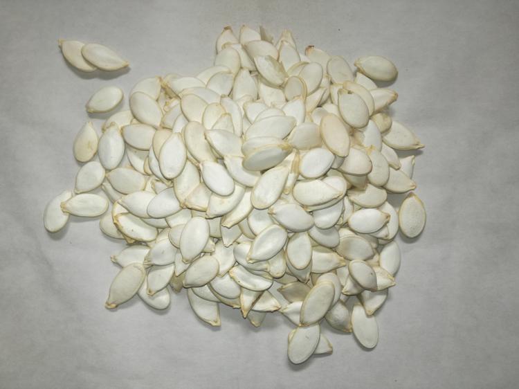 Pestki dyni nieuskane (dynia, nasiona dyni) - 0,5 kg