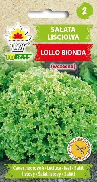Saata liciowa Lollo Bionda (zielona) - 1g TORAF (ID:1653)