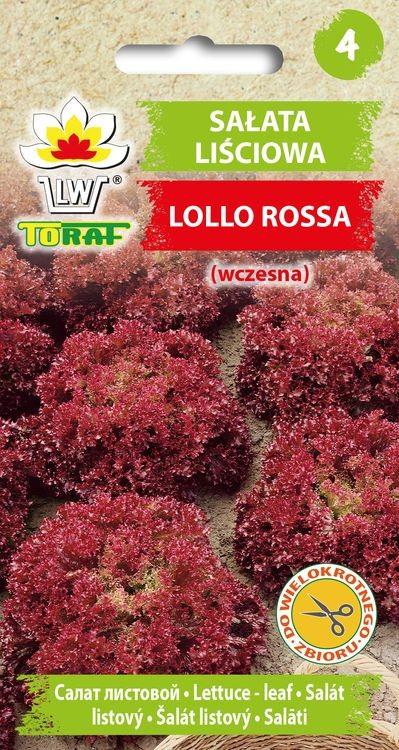 Saata liciowa Lollo Rossa (czerwona) - 1g TORAF (D:1654)