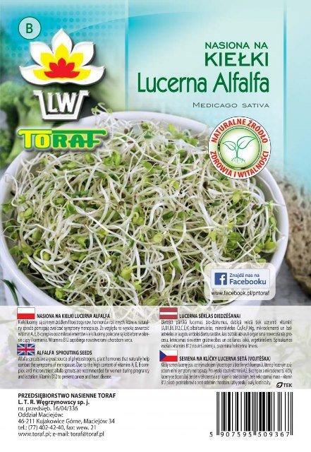 LUCERNA Alfalfa - nasiona na kieki - 100 g  TORAF