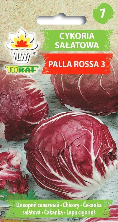Cykoria saatowa Palla Rosa 3 - nasiona - 5 g TORAF