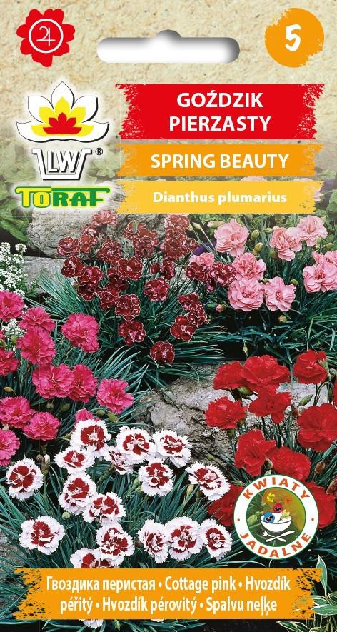 Godzik pierzasty Spring Beauty - 0,5g TORAF