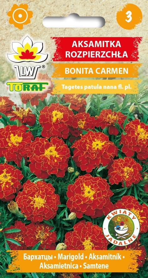 Aksamitka rozpierzcha Bonita Carmen - 1g TORAF