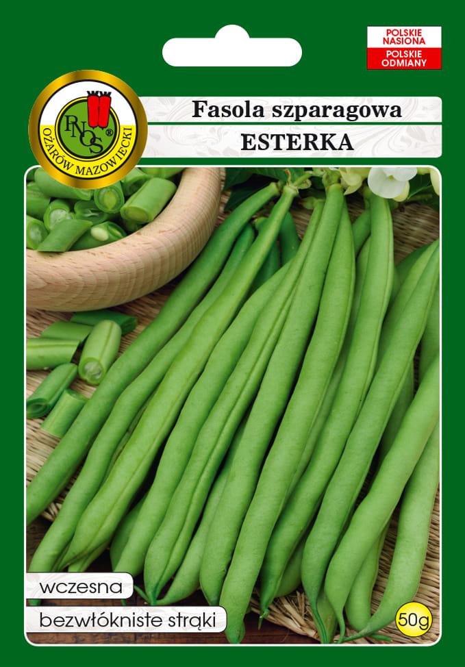 Fasola szparagowa ESTERKA (karowa zielona) 50g PNOS (ID:2076)