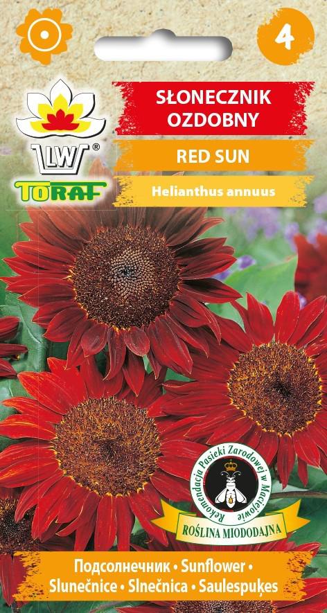 Sonecznik ozdobny RED SUN - czerwony - 2g TORAF (ID:1869)