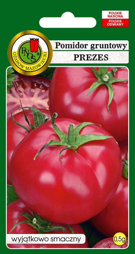 Pomidor gruntowy PREZES 0,5g - PNOS (ID:2158)