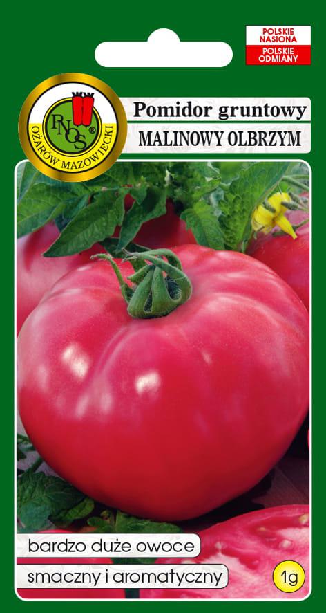 Pomidor gruntowy MALINOWY OLBRZYM - 1g - PNOS (ID:2156)