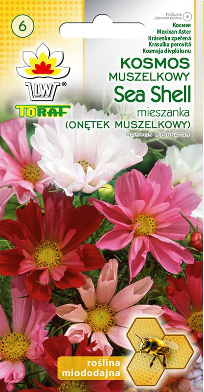 Ontek Muszelkowy Sea Shell - 0,5g TORAF (ID:2947)