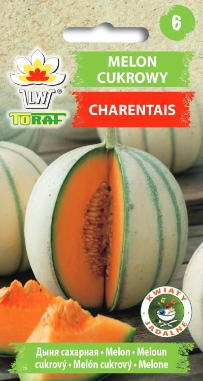 Melon cukrowy Charentais - 1g TORAF (ID:2969)