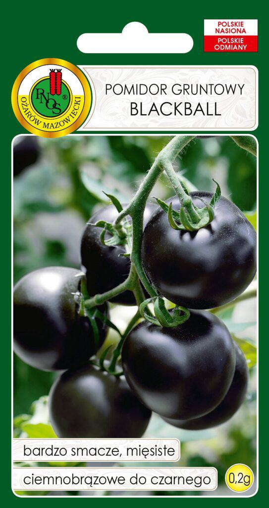 Pomidor gruntowy Blackball - 0,2g PNOS (ID:3006)