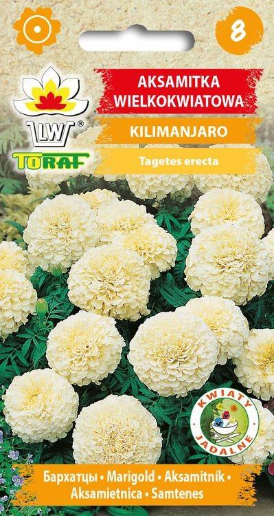 Aksamitka wielkokwiatowa KILIMANJARO - 0,3g TORAF (3201)