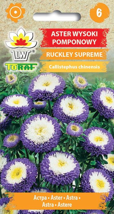 Aster wysoki pomponowy Ruckley Supreme 0,5g TORAF (3203)