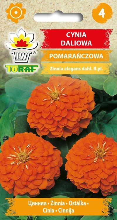 Cynia daliowa pomaraczowa - 1g TORAF (3212)