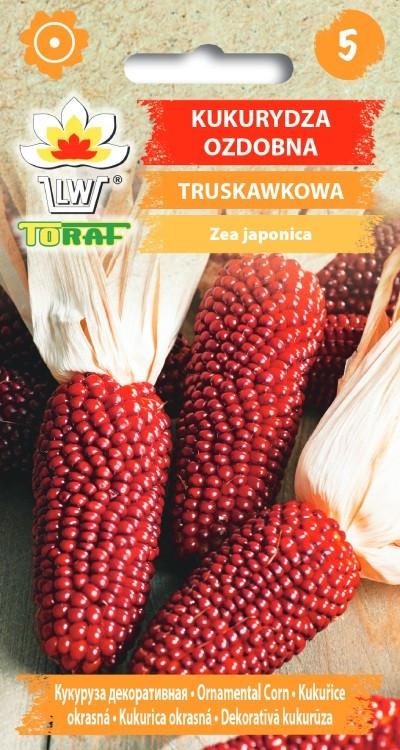 Kukurydza ozdobna czerwona Truskawkowa - 2g TORAF (3216)