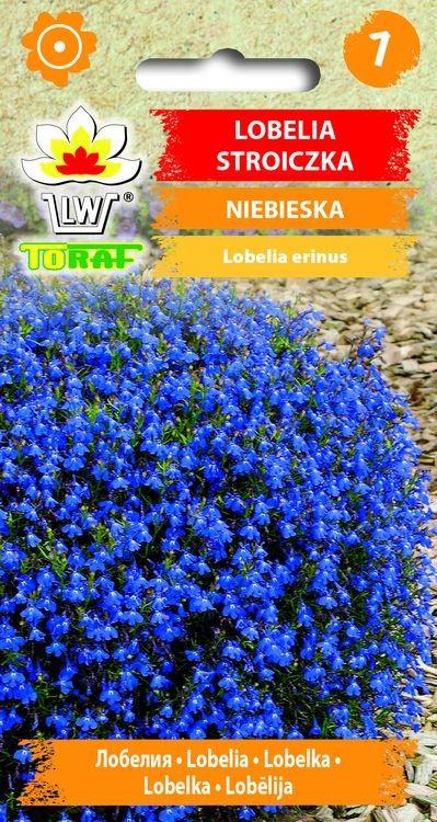 Lobelia stroiczka niebieska - 0,1g TORAF  (ID:3309)