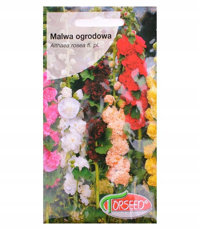 Malwa ogrodowa MIX kolorw -1g nasiona TORSEED (4062)