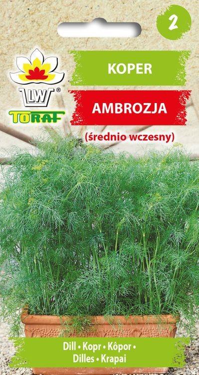 Koper ogrodowy AMBROZJA (rednio wczesny) - 5g TORAF (4099)