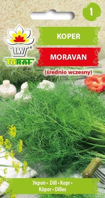 Koper ogrodowy MORAVAN (rednio wczesny) - 5g TORAF (4100)