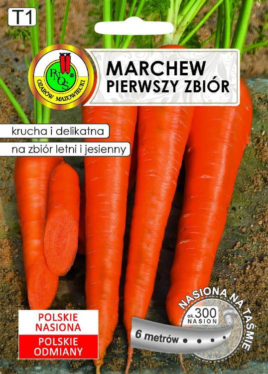 Marchew jadalna PIERWSZY ZBIR (wczesna) - TAMA 6m - PNOS (ID:4332)