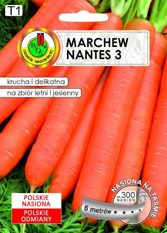 Marchew jadalna NANTES 3 (rednio-wczesna) - TAMA 6m - PNOS (ID:4333)