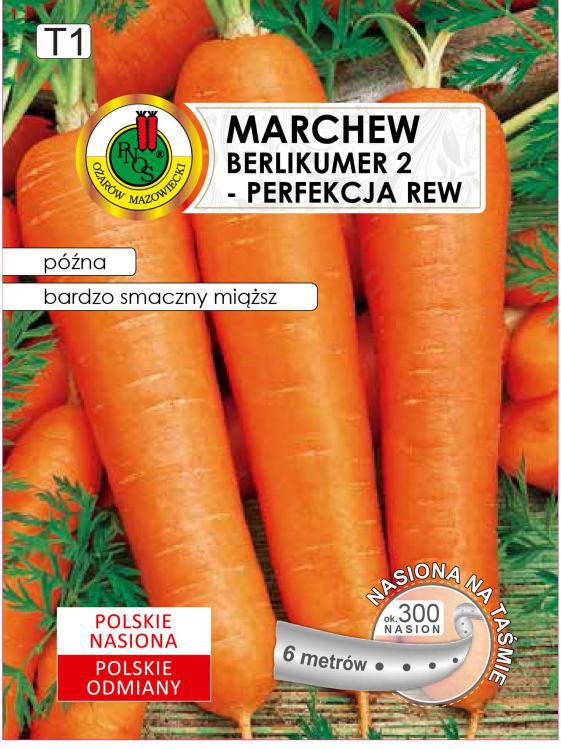 Marchew jadalna BERLIKUMER 2 - PERFEKCJA REW (pna) - TAMA 6m - PNOS (ID:4336)