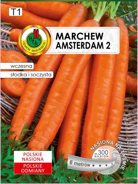 Marchew jadalna AMSTERDAM 2 (wczesna) - TAMA 6m - PNOS (ID:4337)