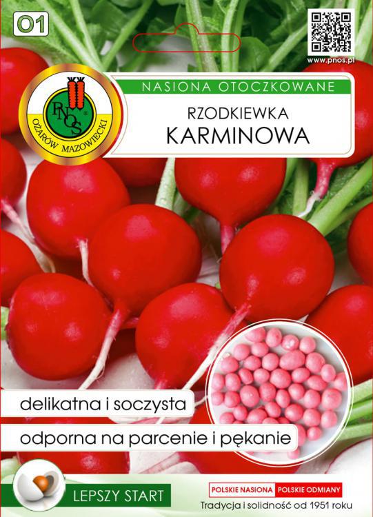 Rzodkiewka KARMINOWA - 200 szt. nasion OTOCZKOWANE - PNOS (ID:4344)