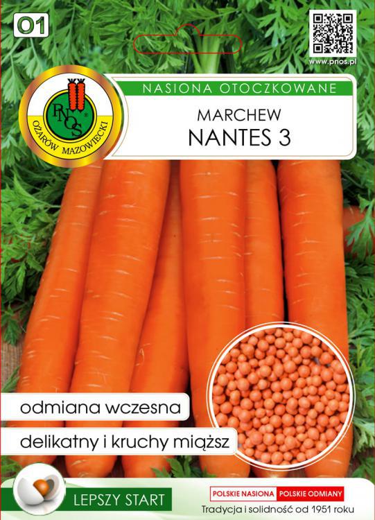 Marchew jadalna NANTES 3 - 300 szt. nasion OTOCZKOWANE - PNOS (ID:4351)