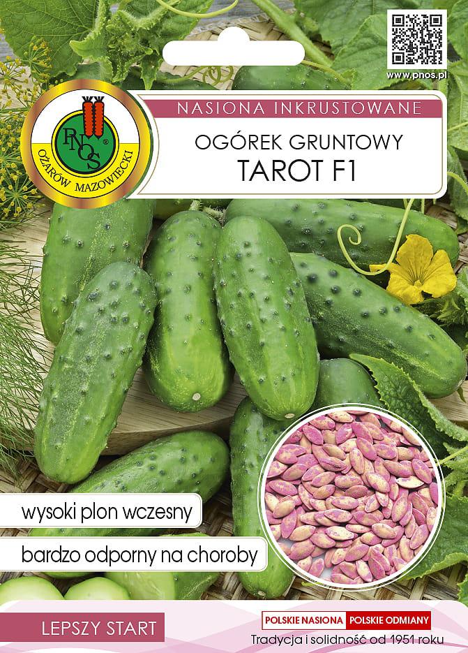 Ogrek gruntowy TAROT F1 - 5g - nasiona INKRUSTOWANE - PNOS (ID:4360)