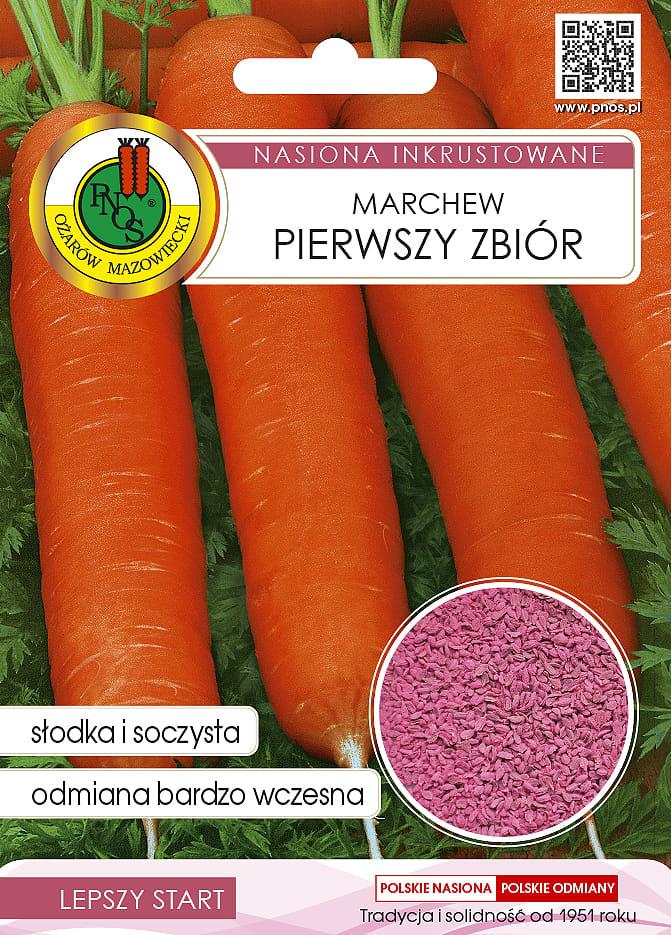Marchew jadalna PIERWSZY ZBIR - 5g - nasiona INKRUSTOWANE - PNOS (ID:4366)