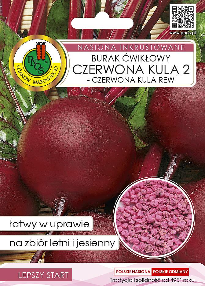 Burak wikowy CZERWONA KULA 2 - REW - 10g - nasiona INKRUSTOWANE - PNOS (ID:4370)