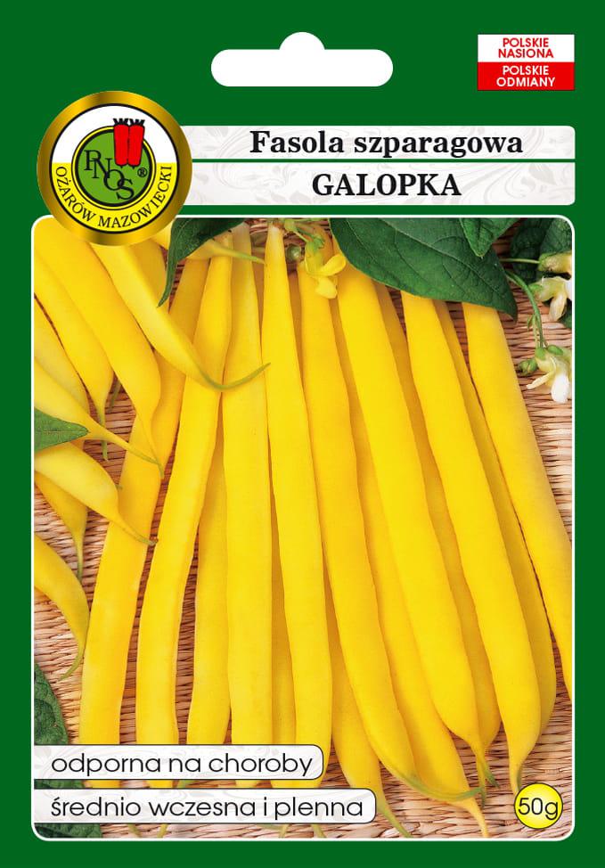 Fasola szparagowa GALOPKA (karowa, ta) 50g PNOS (ID:4385)