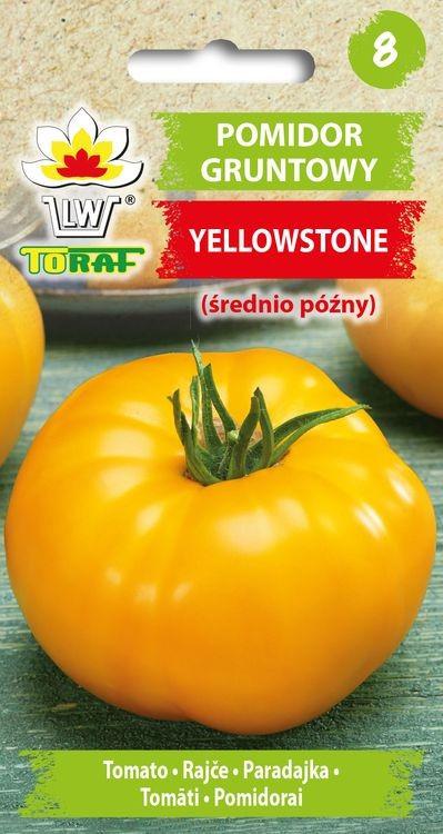 Pomidor gruntowy YELLOWSTONE (rednio pny) - 0,3g TORAF (ID:4105)