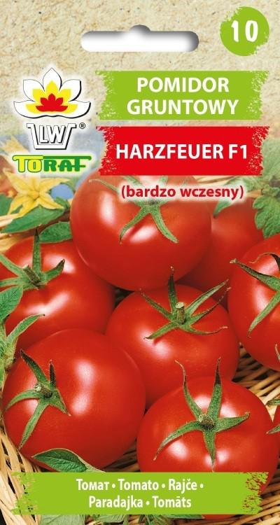 Pomidor gruntowy HARZFEUER F1 (bardzo wczesny) - 0,3g TORAF (4106)