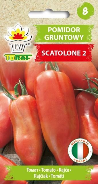 Pomidor gruntowy SCATOLONE 2 - 0,5g TORAF (ID:4107)