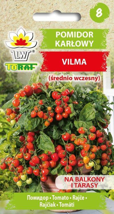 Pomidor karowy VILMA (rednio wczesny) - 0,3g TORAF (ID:4112)