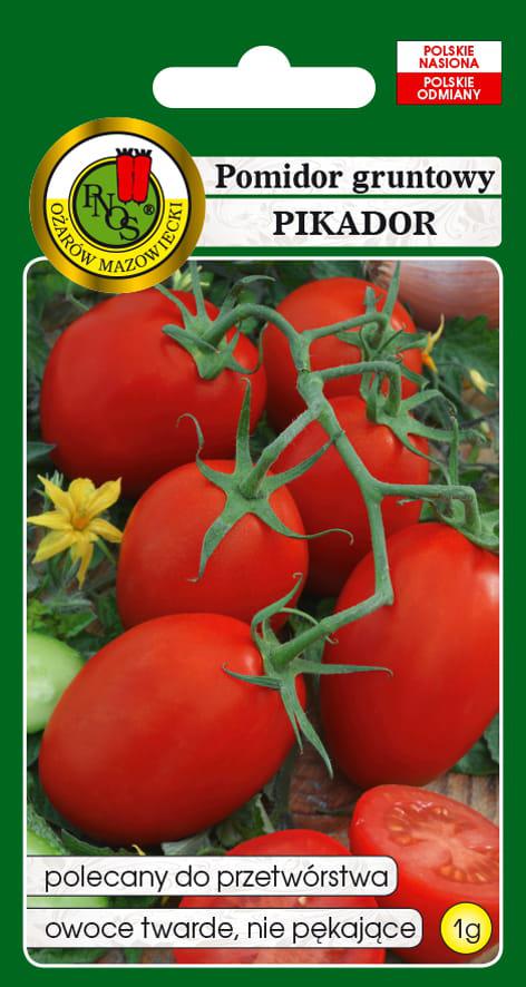 Pomidor gruntowy PIKADOR (rednio wczesny) - 1g - PNOS (ID:4408)