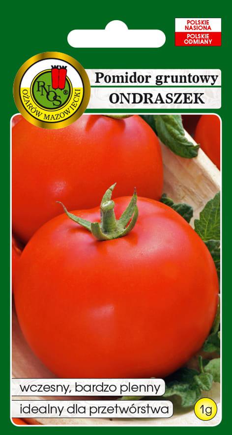 Pomidor gruntowy ONDRASZEK (wczesny) - 1g - PNOS (ID:4411)