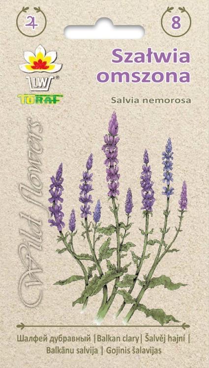 Szawia omszona fioletowa - Wild Flower - 0,2g TORAF (ID:4434)