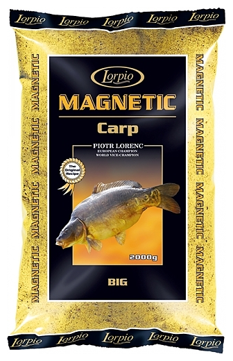 MAGNETIC CARP BIG 2 kg zanta na karpia - LORPIO